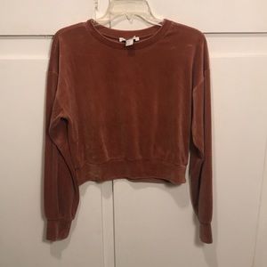 Velvet Sweatshirt
